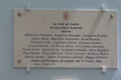 Strage del 12 luglio 2016: una riflessione dopo la sentenza della Cassazione