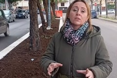 Emergenza climatica, Bruno: "Vicini al dolore di Bisceglie, giusto prendere precauzioni anche ad Andria"