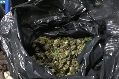 Questura Bat: droga nel bunker, 5 arresti per produzione di sostanze stupefacenti