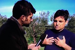 Dogs's Hostel di Trani, trasmesso da Striscia il servizio televisivo