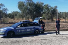Contromano sull'A14 tra Bari e Canosa: dramma evitato grazie all'intervento di pattuglie della Polstrada