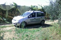Zinni (Guardie Campestri): "La paventata incolumità della guardia appiedata risulta essere solo una provocazione"
