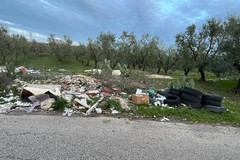 Campagne come discariche, Riglietti: "Subito i Comuni al lavoro"