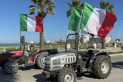 Agricoltura: dalla Regione 10 mln per il carburante e 20 per le filiere