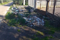 Strada provinciale 43: buche e discariche di rifiuti di ogni tipo al ciglio della strada