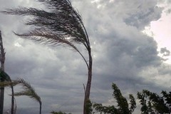Dal Comune diramata l'allerta meteo arancione per vento forte