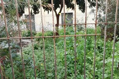 I residenti di Via Eritrea lanciano un appello al Comune di Andria