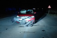Salvi per miracolo dopo aver investito un grosso cinghiale sull'Andria Canosa di Puglia