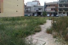Sporcizia e incuria nella zona dell'ex Macello comunale