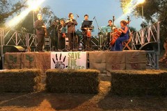 Il chitarrista andriese Michele Liso, in concerto tra gli ulivi contro la xylella