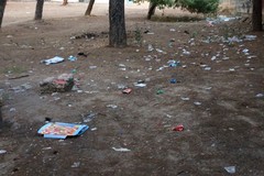 La Pineta comunale, trasformata in una discarica a cielo aperto