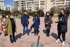 Semi di speranza nel parco "Ursi" di Andria: piantati 50 alberelli di corbezzolo