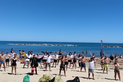 Pulizia di spiagge e fondali a Trani, il Centro Subacqueo di Andria in prima linea per l'ambiente