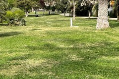 Dalla Puglia un investimento verde: anche Andria al centro del piano di rinaturalizzazione urbana