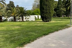 "Andria, una città con sempre più verde e sempre meno smog"