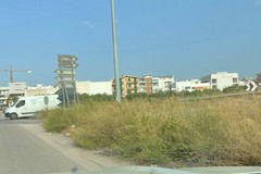 Aree adiacenti alle strade: necessario ripulire le sterpaglie per evitare incendi e incidenti