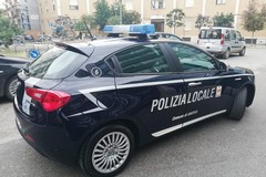 Ispettori di Polizia locale inquadrati nell'area funzionale ex categoria D
