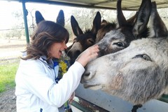 La forza delle donne. Intervista a una contadina andriese