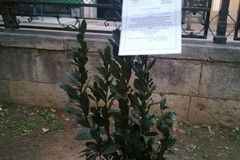 L'Associazione "Hi Nic" incontra gli alunni del 1^ circolo "Oberdan" Andria