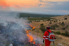 Ennesimo incendio tra Minervino Murge e Andria: fiamme domate in serata