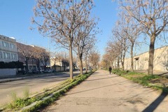 Rigenerazione delle aree produttive di Andria: incontro tra associazioni d' impresa ed Amministrazione Comunale