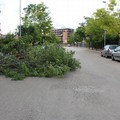 Maltempo: alberi abbattuti nella zona INPS e via Montegrappa