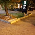 Agguato nel quartiere Europa di Andria, l'indignazione dei residenti
