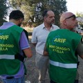 Xylella fastidiosa: si sposta il fronte verso il nord della Puglia, ritrovati due alberi infetti a Fasano