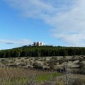 Suoni della Murgia nel parco: IV edizione dal 10 giugno al 16 luglio 2017