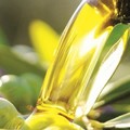 Predoni dell'oro verde in azione: paura tra gli operatori della filiera dell'olio d'oliva