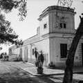 Andria torna ad ospitare  "La Camminata tra gli olivi ", presso l'azienda “Le 4 contrade”