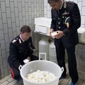 Etichettatura dei prodotti lattiero-caserari, il bilancio dell'operazione “Our milk?”
