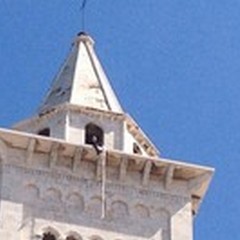 Dog's Hostel, protesta estrema: Vito Malcangi sul cornicione della Cattedrale di Trani