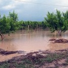 Meteo, oggi allerta arancione su tutta la regione