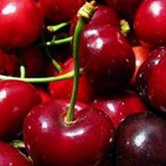 È tempo di ciliegie