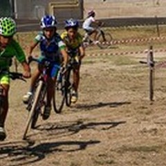 Mountain Bike, ad Andria la 5° e ultima tappa del campionato Short Track invernale