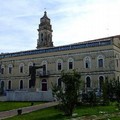 Trattamento fitosanitario sulle alberature cittadine