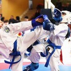 Taekwondo Itf, Team Ardito protagonista ai campionati italiani