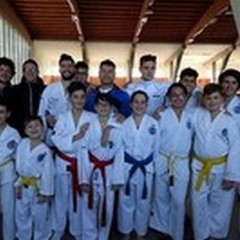 "South International Taekwondo 2015 ", trionfa l'Hwarang Group di Andria