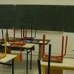 La scuola non serve a niente