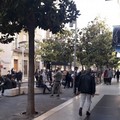 D'Ambrosio (M5S): "Andria ed il covid. Tutti in giro. Famiglie, ragazzi, anziani. Tutti! "