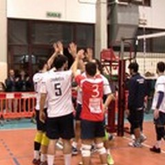La Pallavolo Andria schianta il Pozzuoli e torna al successo
