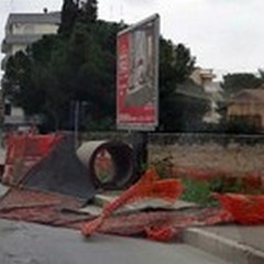 Danni per il forte vento: cartelli, alberi e palizzate per terra