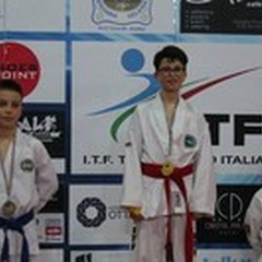 Campionato Italiano Assoluto di Taekwondo: grande successo al "Palasport "