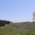 Internet gratis nel parco nazionale dell’Alta Murgia