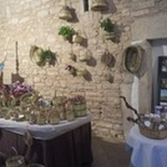 Celebrata la Giornata della Sostenibilità: api e biodiversità nel Parco