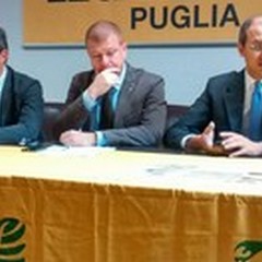 Discarica a Grottelline, Giorgino: «Dall'OGA un no convinto»