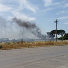Incendio di sterpaglie in via Trani: visibilità ridotta in Tangenziale