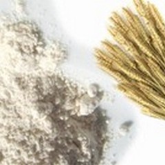La macinazione del frumento