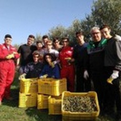 "Lotti - Umberto l ", all'Agrario nuovo responsabile dell'azienda